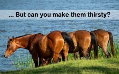 You Can’t Make Them Drink… But Can You Make Them Thirsty?