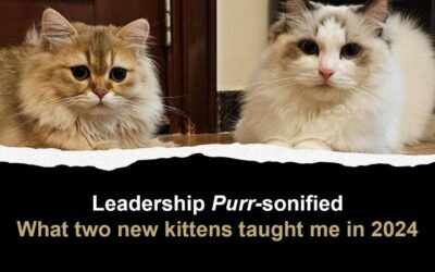 Leadership Lessons from My Furry Friends